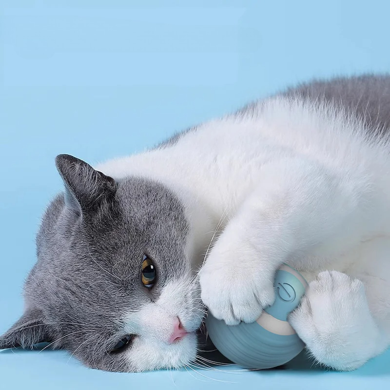 Interactieve kattenbal Slim ka - Electronics Gadgets Wholesale recensie en prijs